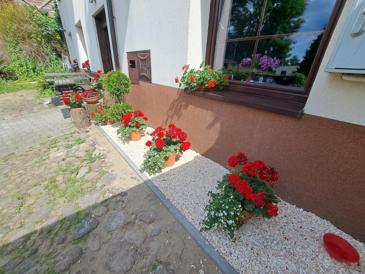 Apartament Deluxe-Gontalowy Kazimierz Dolny Extérieur photo